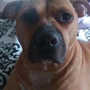 Meet your Posher, Shawn